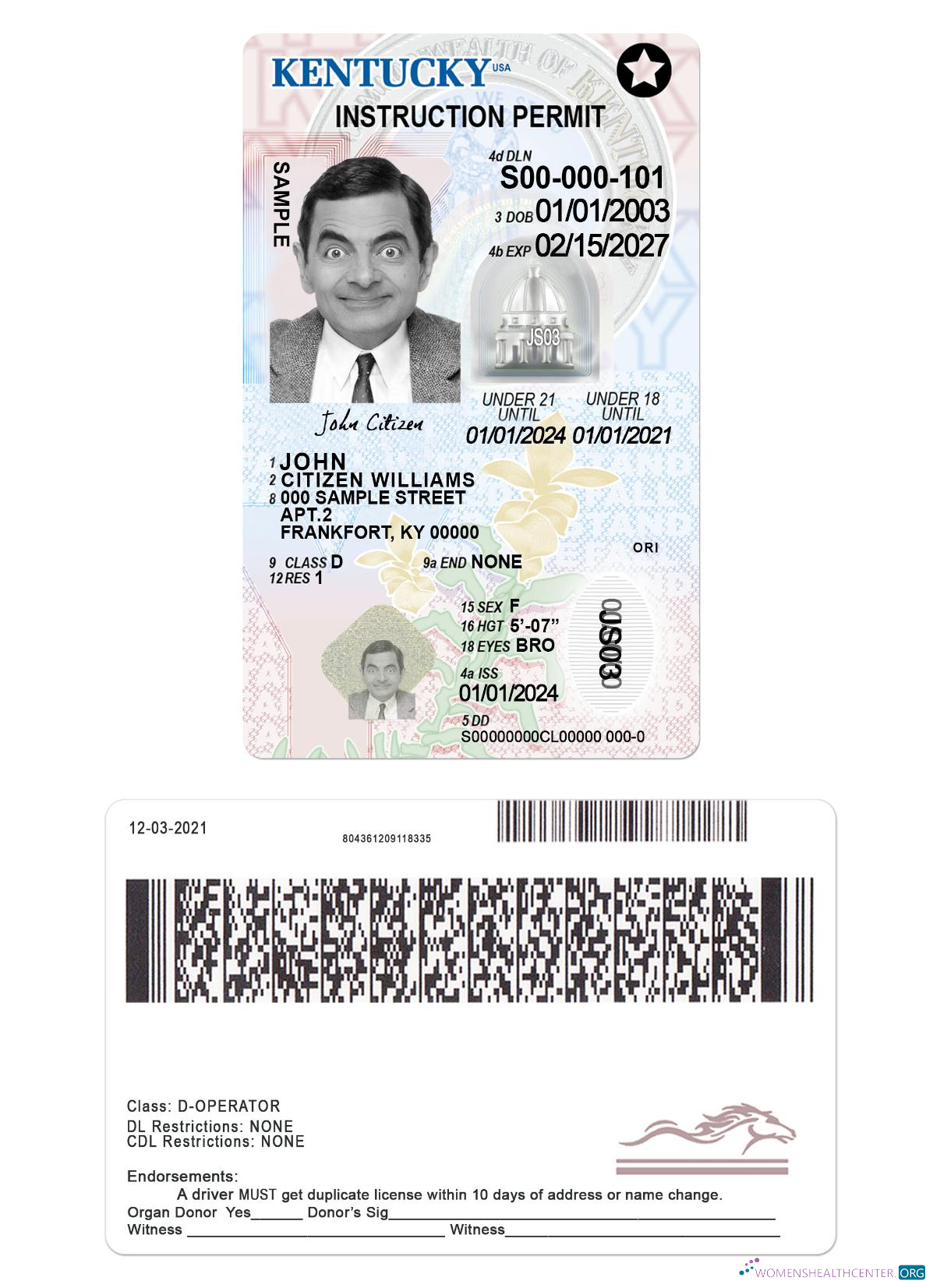 download USA Kentucky driving license under 21